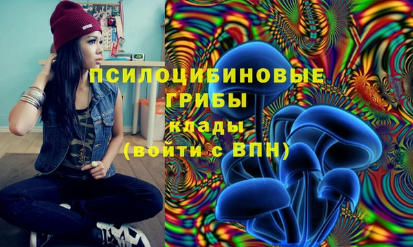 соль курить ск Бородино