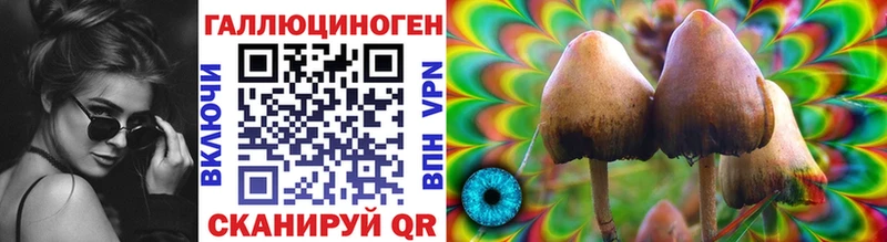 что такое   Новое Девяткино  Псилоцибиновые грибы мицелий 