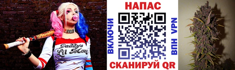 Бошки марихуана White Widow Новое Девяткино